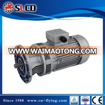 Professional Manufacturer of WB65 Micro Cycloid Reductor Motor with Electric Motor in China